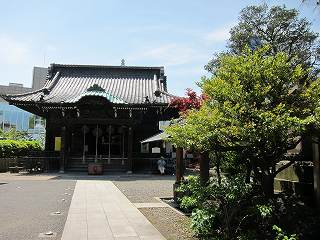 20100508-037.jpg