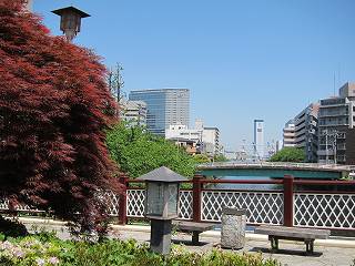 20100508-026.jpg