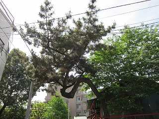 20100508-044.jpg