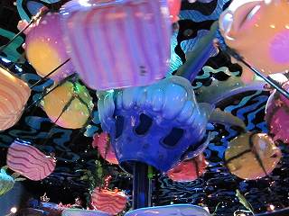 20100604-019.jpg