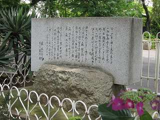 20100613-024.jpg