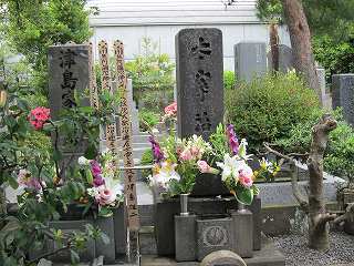 20100613-028.jpg