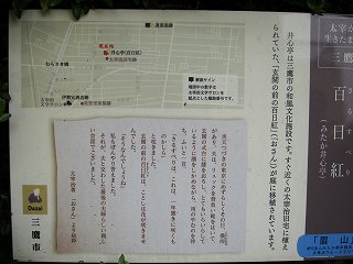 20100613-029.jpg