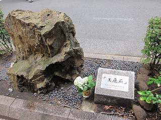 20100613-035.jpg