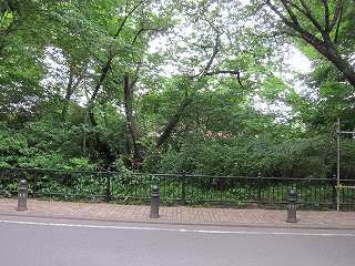 20100613-034.jpg