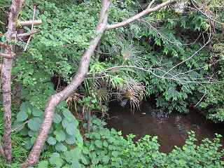 20100613-037.jpg