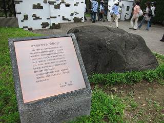 20100613-040.jpg