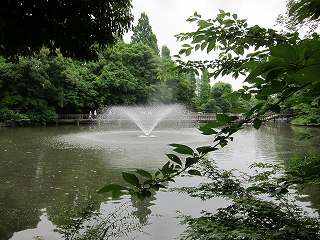 20100613-052.jpg
