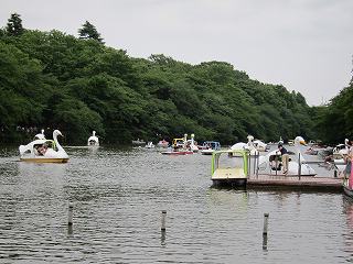 20100613-063.jpg
