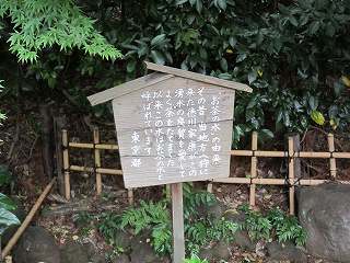 20100613-060.jpg