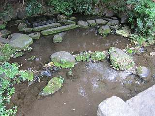 20100613-059.jpg