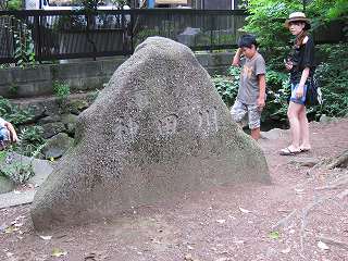 20100613-061.jpg