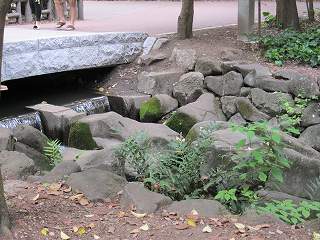 20100613-062.jpg