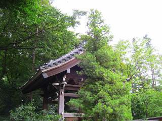 20100627-018.jpg