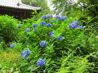 20100627-023.jpg