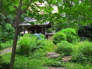 20100627-021.jpg