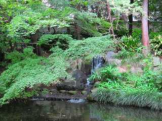 20100627-030.jpg
