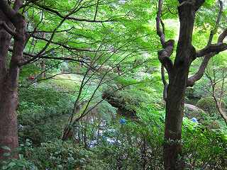 20100627-032.jpg