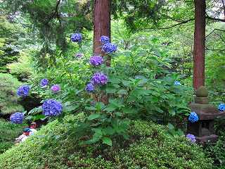 20100627-027.jpg