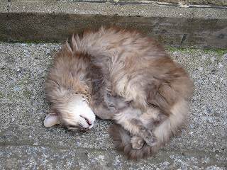 20100627-083.jpg