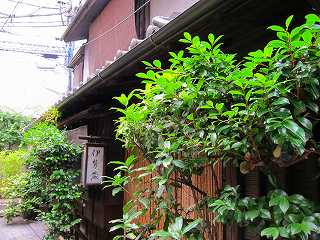 20100627-072.jpg