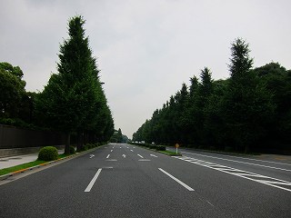 20100703-034.jpg