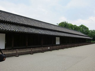 20100703-057.jpg