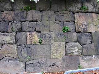 20100703-059.jpg