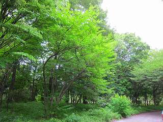 20100703-064.jpg