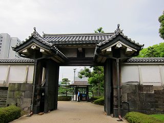 20100703-070.jpg
