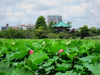 20100717-007.jpg