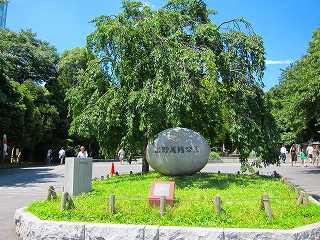 20100717-038.jpg