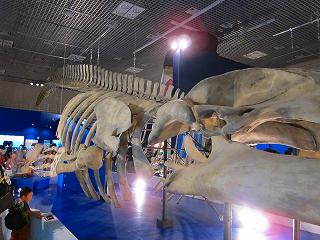 20100717-059.jpg