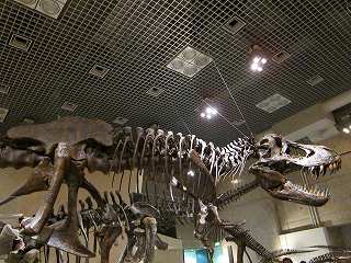 20100717-060.jpg
