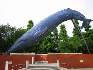 20100717-080.jpg