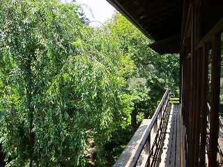 20100807-024.jpg