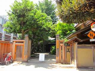 20100807-034.jpg