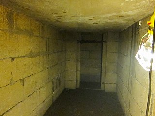 20100807-026.jpg