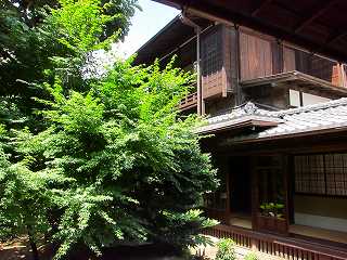 20100807-009.jpg