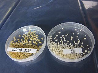 20100727-007.jpg