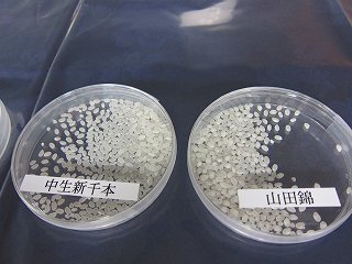 20100727-006.jpg