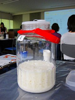 20100727-008.jpg