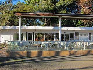 20110108-042.jpg
