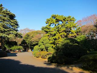 20110108-034.jpg