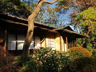 20110108-039.jpg