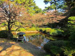 20110108-040.jpg