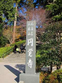 20110109-012.jpg