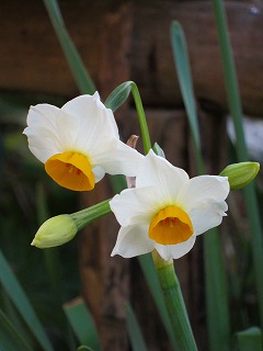 20110109-003.jpg