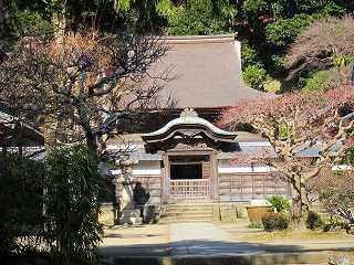 20110109-006.jpg