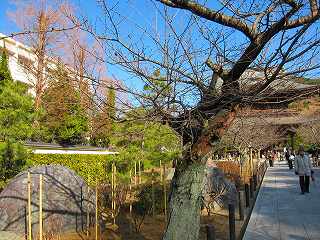 20110109-013.jpg
